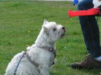 Klik op de foto voor groter formaat